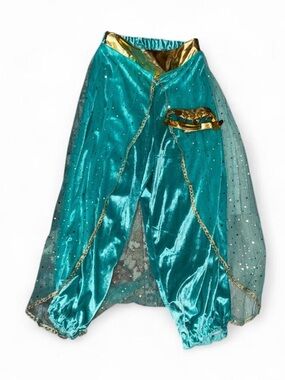 Jasmine velvet Teal Shimmer Harem Pants with Gold Accents